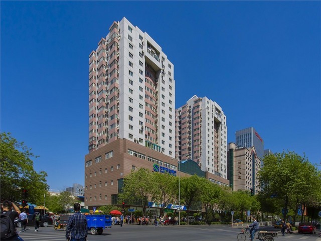 长宁区一站式猫咪定制选购店铺